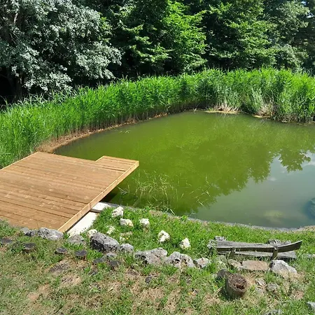 Hidden Authentic Haven - One Bedroom With Terrace Sevnica