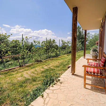 Hidden Authentic Haven - One Bedroom With Terrace Apartment